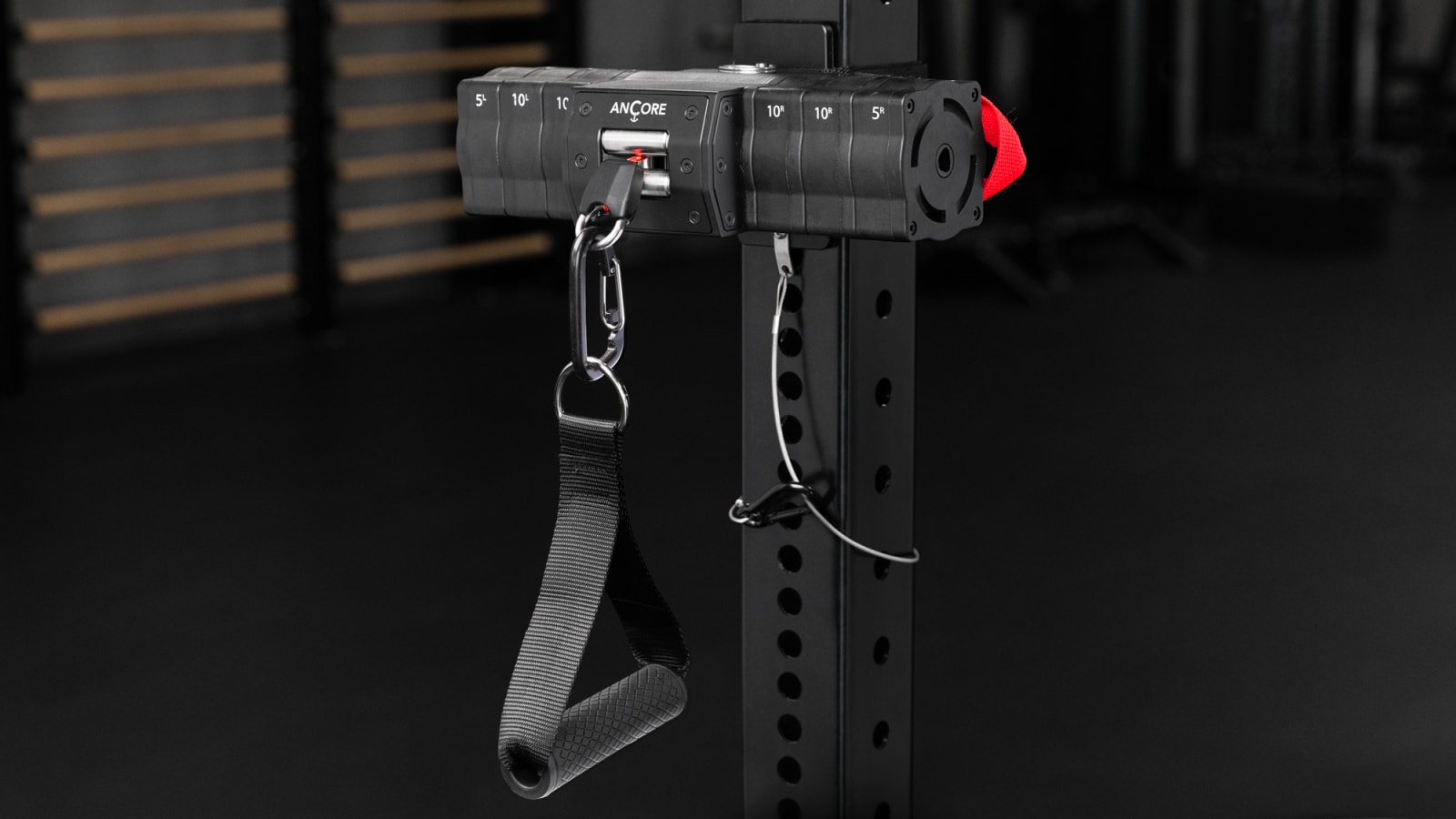 ANCORE Pro | Rogue Fitness